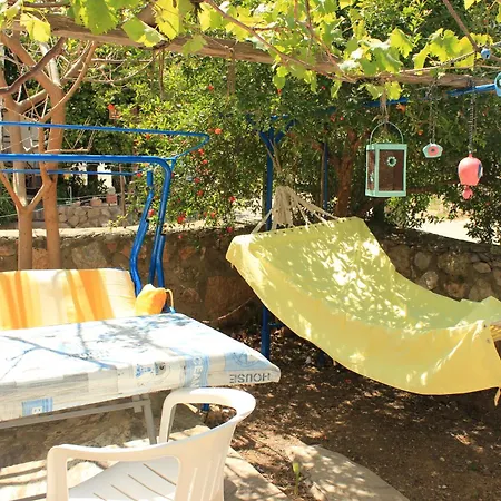 Begonvil * Datca